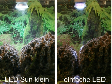 LED Sun klein 5W - 63940