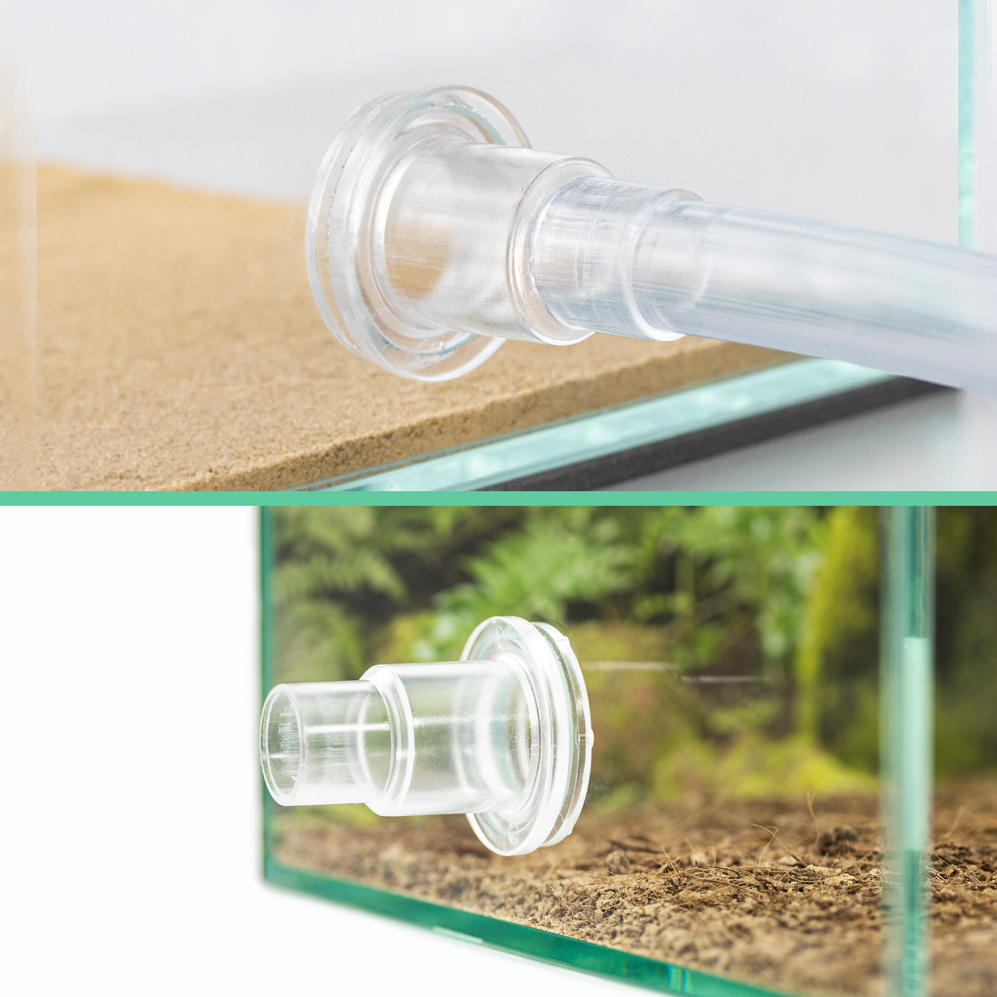 ANTSTORE - Ameisenshop - Ameisen kaufen - Becken-Schlauchverbinder 