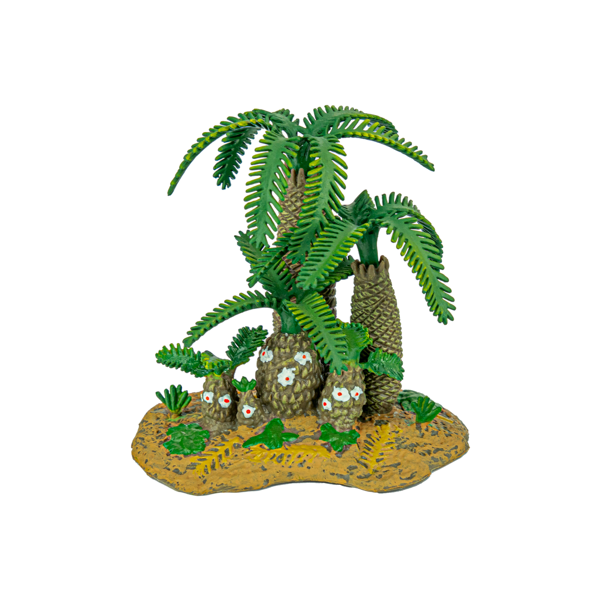 ANTSTORE - Ameisenshop - Ameisen kaufen