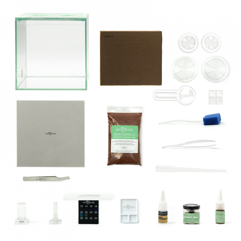 bundle lasius niger start set equipment