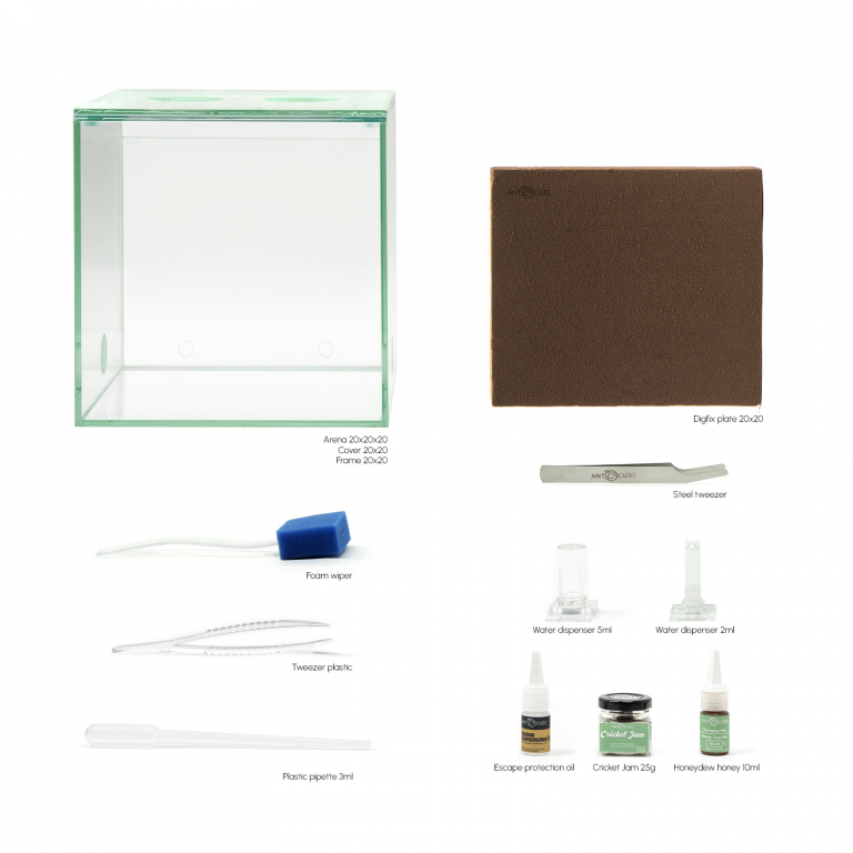 bundle lasius niger start kit