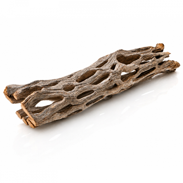 Natur Kaktus Vuka Holz 15cm