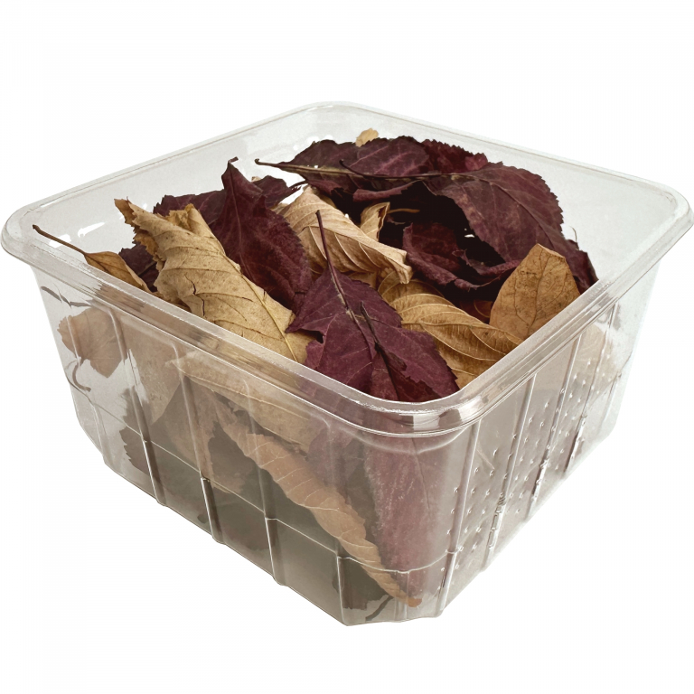 Foliage dried - diverse - 500 ml