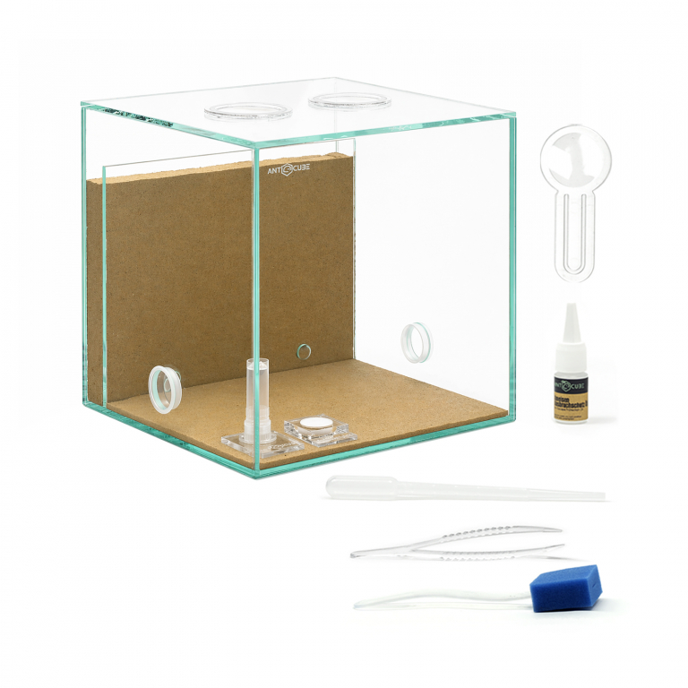 ANTCUBE Starter Kit L - 20x20 - combi
