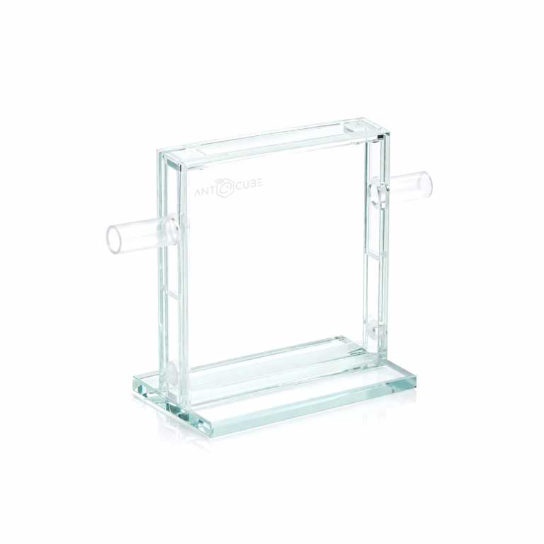 antcube - ant display 10x10 - M - detached