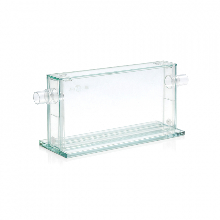 antcube antfarm - L -20x10 - detached