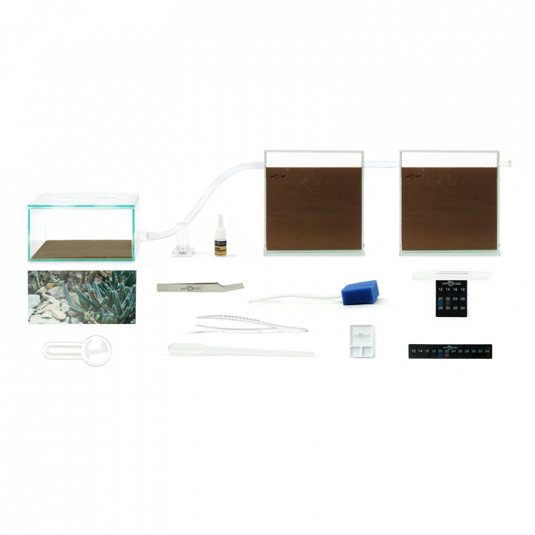 ANTCUBE Starter Set für Messor spec.