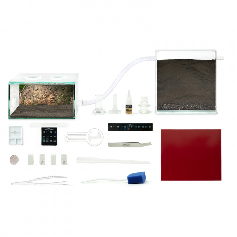 ANTCUBE Starter Set M - 20x20 - Wald