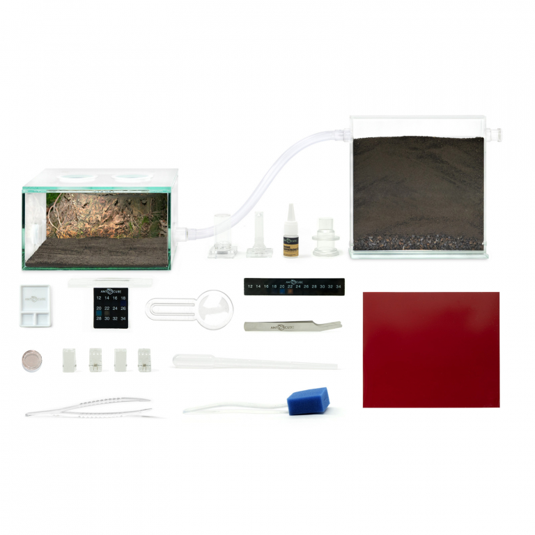 ANTCUBE Starter Set L - 20x20 - Wald