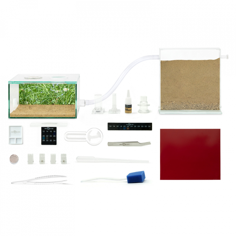ANTCUBE Starter Kit M - 20x20 - Meadow