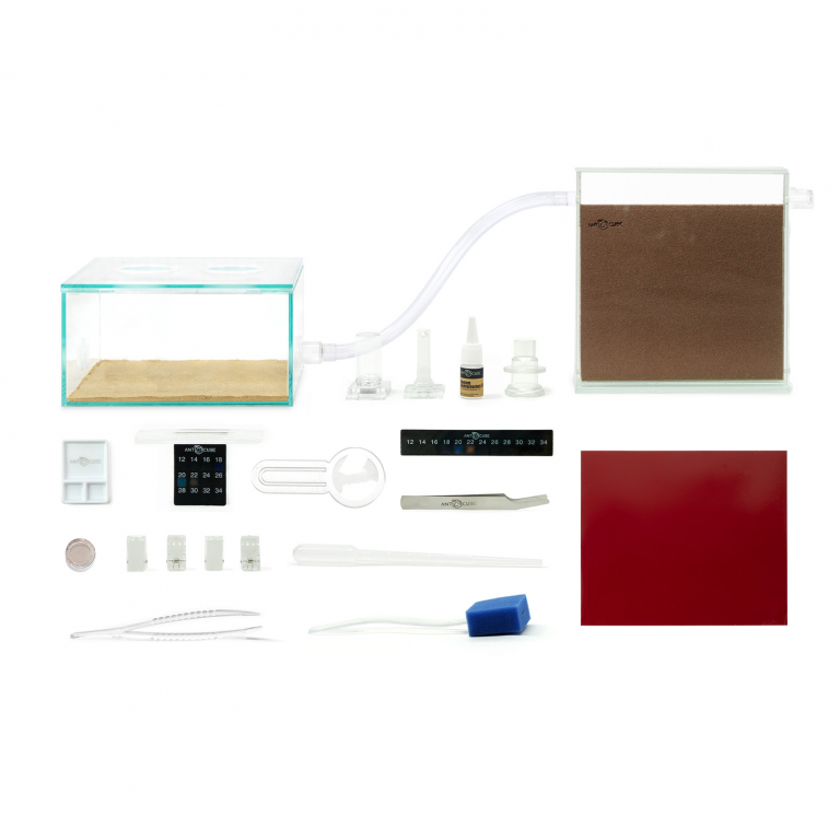 ANTCUBE Starter Set für Messor spec.