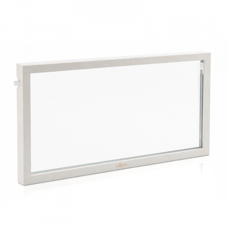 ANTCUBE - Ameisenfarm - M - 60x30 - Wand