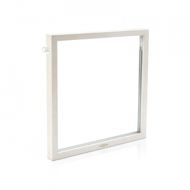 ANTCUBE - antfarm - L - 30x30 - Wall