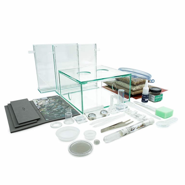 Bundle Offer - Messor structor