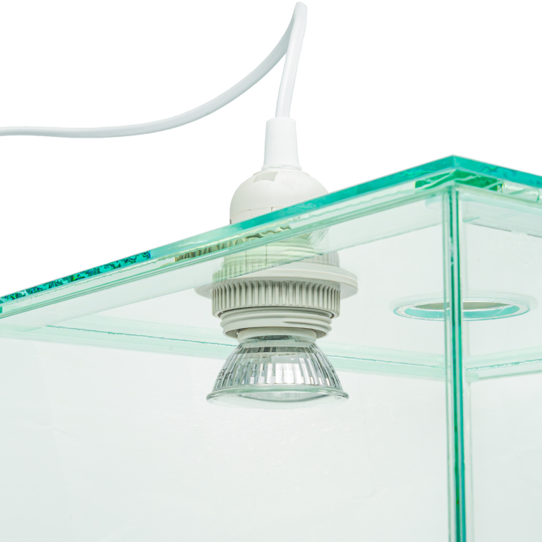 Ameisenarena - Lampenfassung - E27