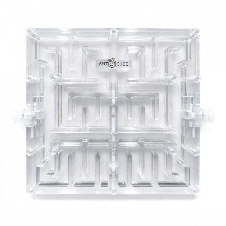Ant Maze 20x20 - L