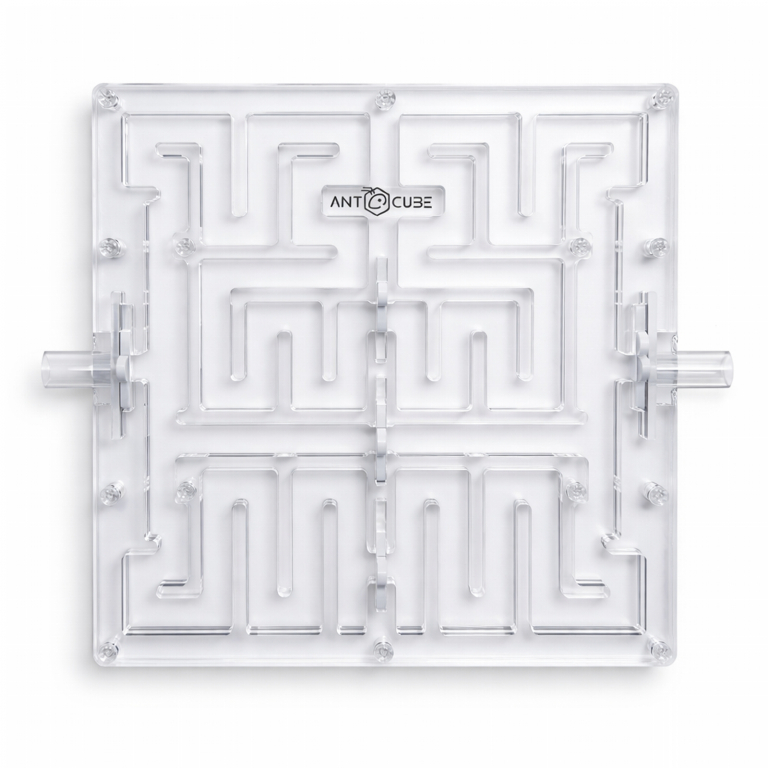 Ant Maze 20x20 - M