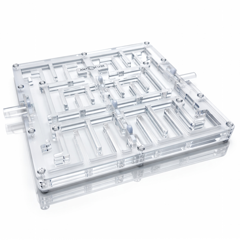 Ant Maze 20x20 - M