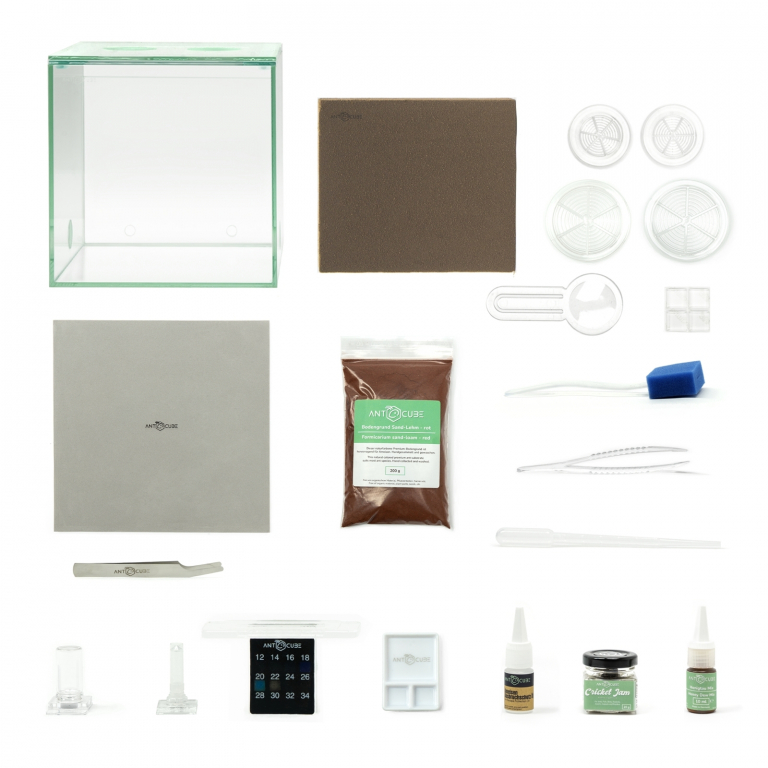 bundle lasius niger start set equipment