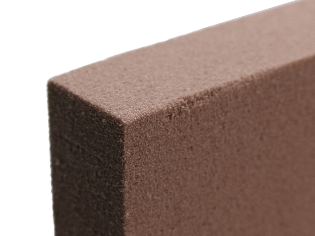 Bundle Offer - Messor barbarus