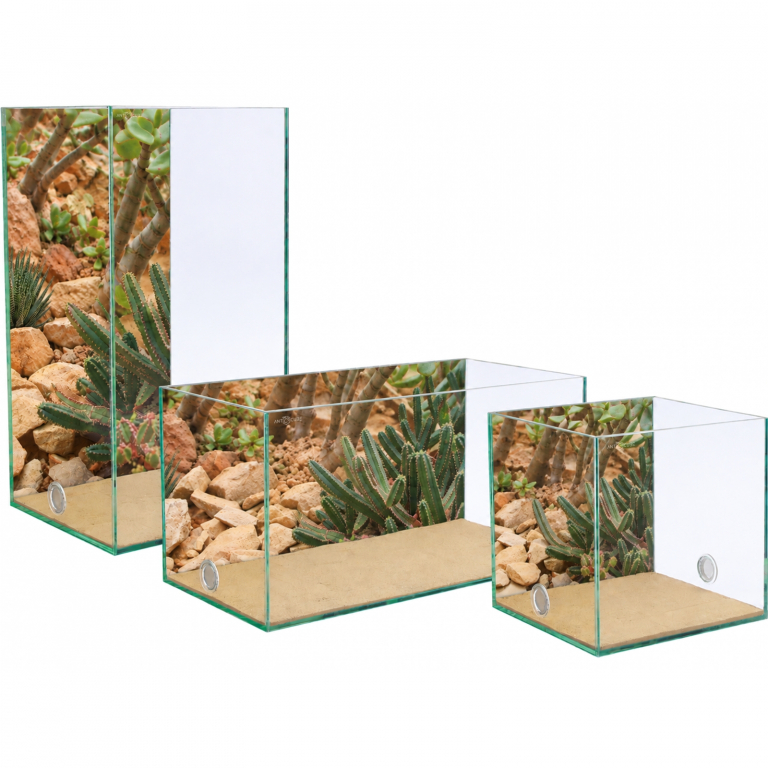 Photo Background - desert - 20x10 - crosswise