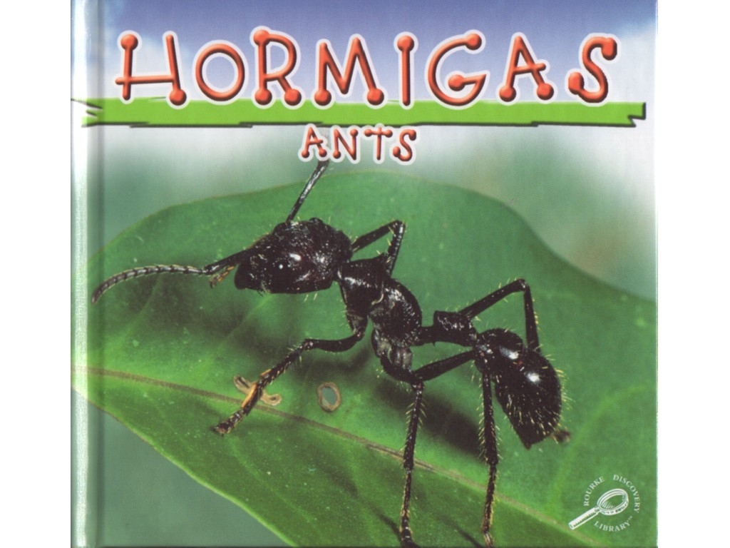 Book: Hormigas / Ants