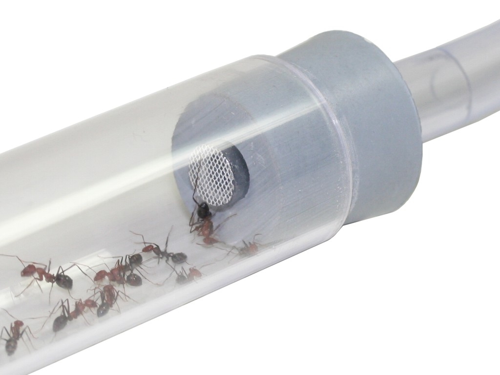 ANTSTORE - Ameisenshop - Ameisen kaufen - suction exhaustor tube 100x32mm