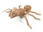 Ant of wooden - flat - 40cm