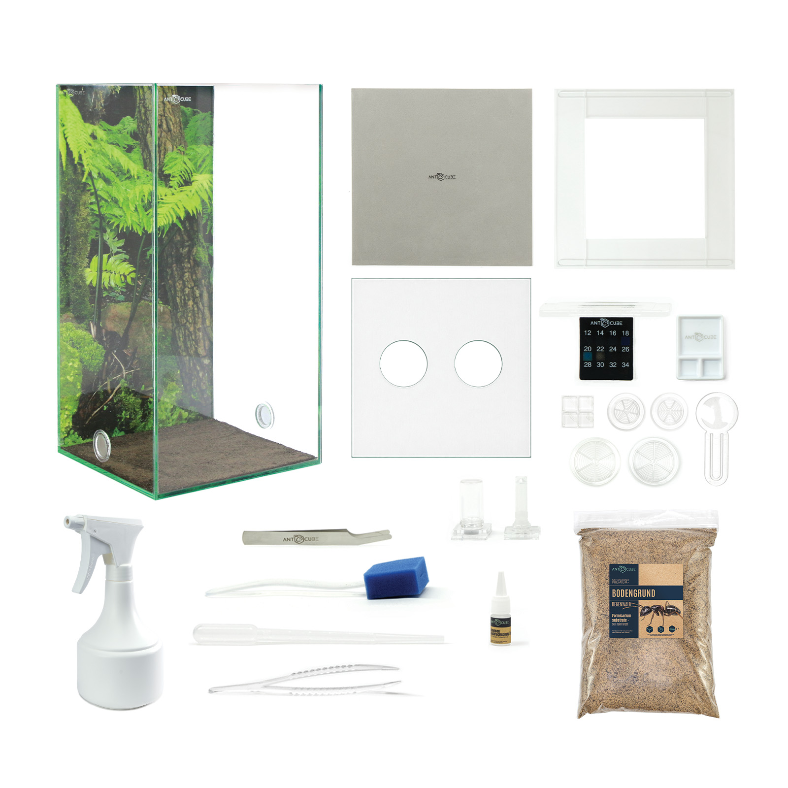 ANTCUBE Starter Set für Weberameisen