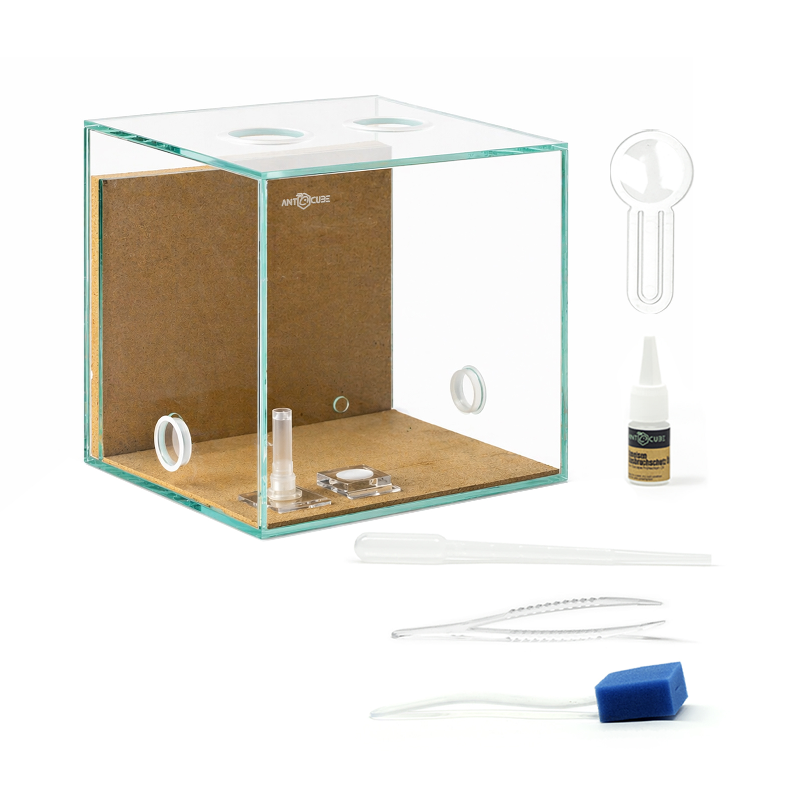 ANTCUBE Starter Set M 20x20 Combi für Lasius niger