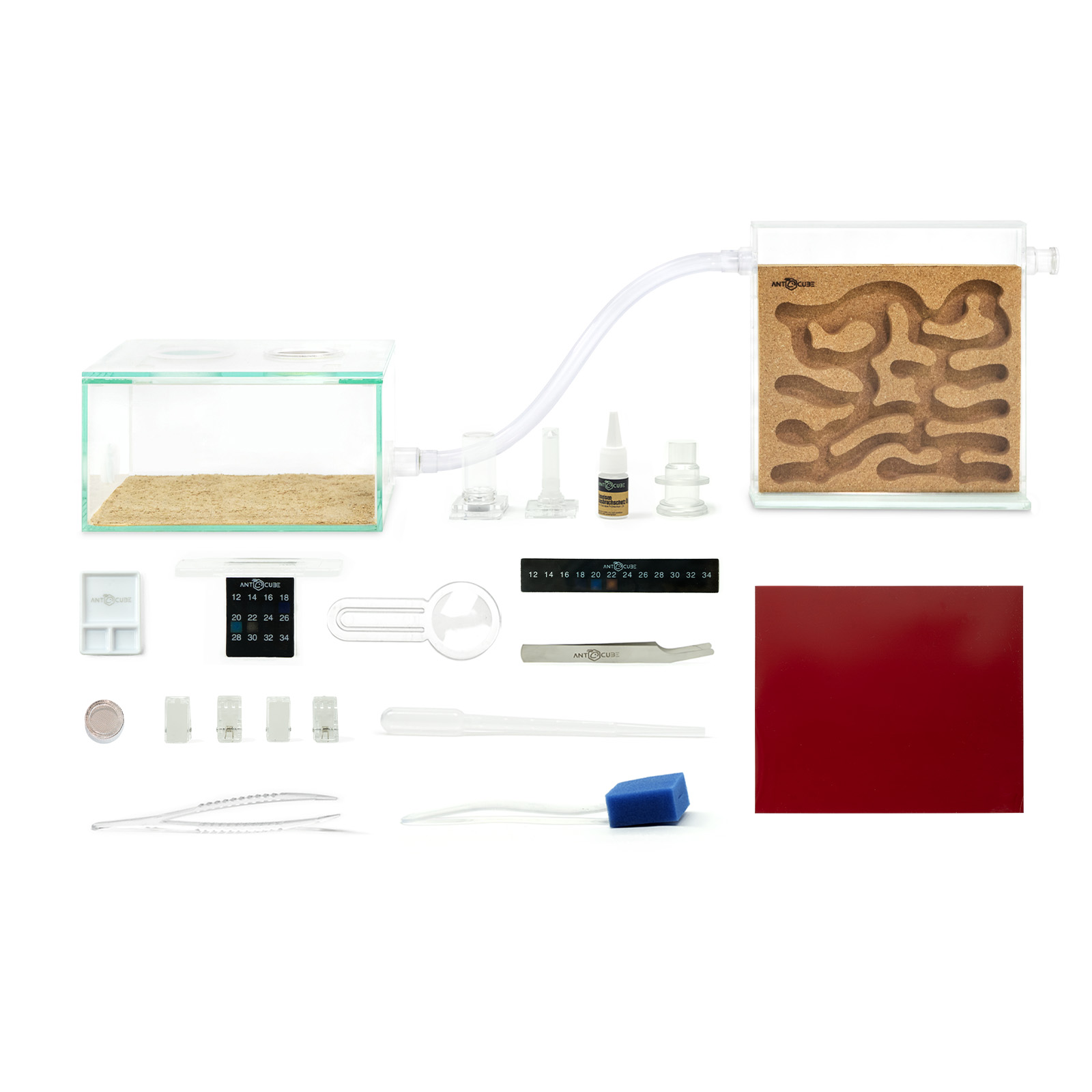 ANTCUBE Kork Starter Set für Camponotus nicobarensis