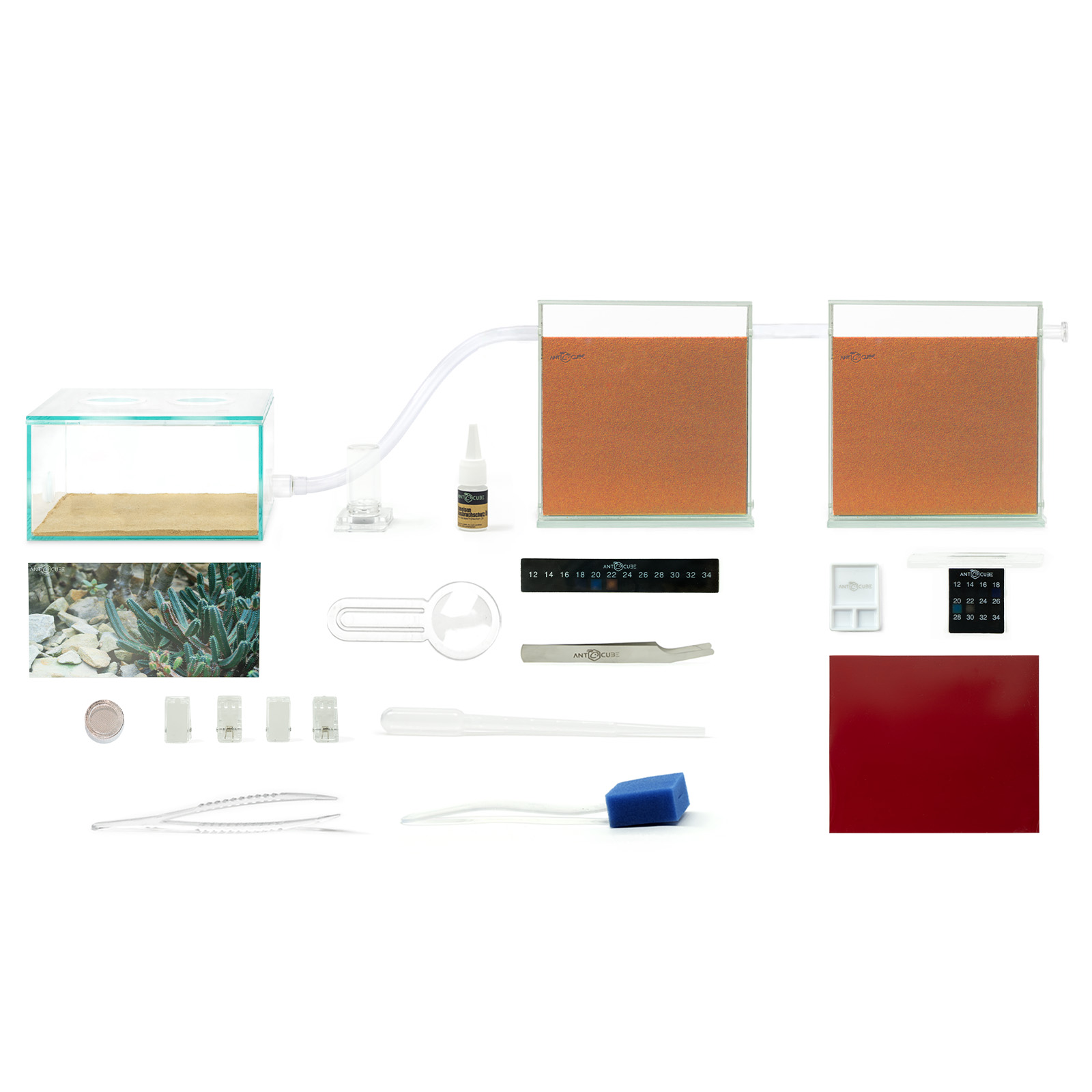 ANTCUBE Starter Set für Messor barbarus Ernteameisen